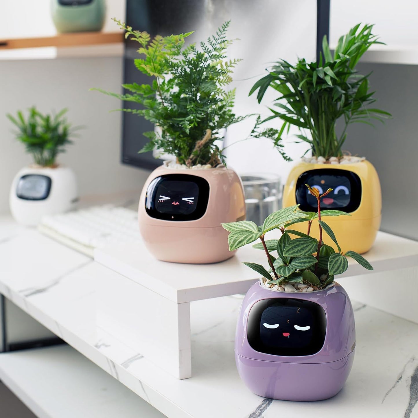 PLANTSIO Smart pet Planter Robot Guidance on Plant Care with Emojis