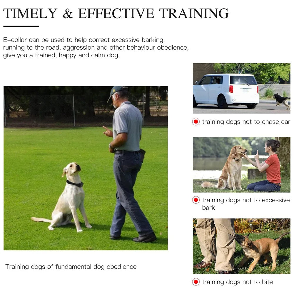 Rechargeable Waterproof Dog Training Collar with Remote – Shock, Vibration & Sound – For Small, Medium & Large Dogs (Up to 800m Range)