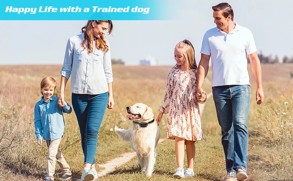 Rechargeable Waterproof Dog Training Collar with Remote – Shock, Vibration & Sound – For Small, Medium & Large Dogs (Up to 800m Range)