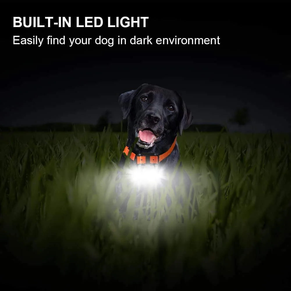 Rechargeable Waterproof Dog Training Collar with Remote – Shock, Vibration & Sound – For Small, Medium & Large Dogs (Up to 800m Range)