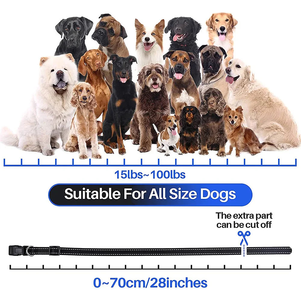 Rechargeable Waterproof Dog Training Collar with Remote – Shock, Vibration & Sound – For Small, Medium & Large Dogs (Up to 800m Range)