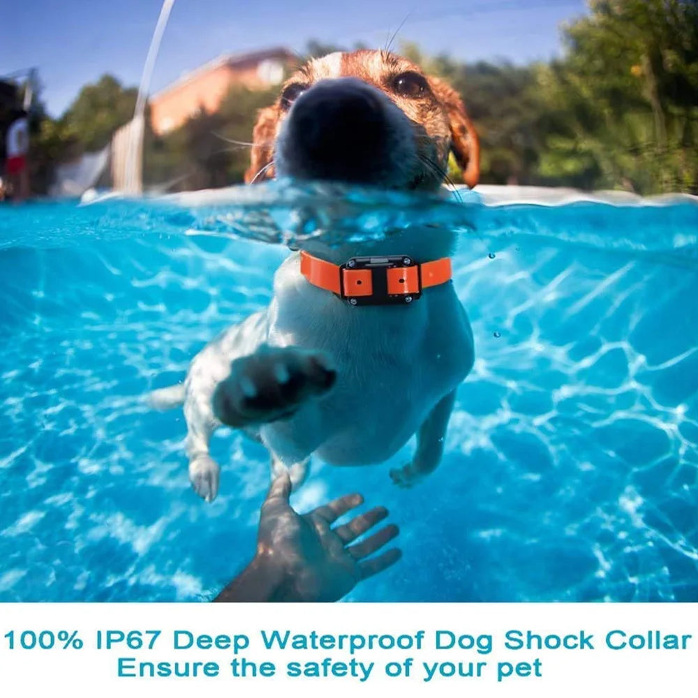 Rechargeable Waterproof Dog Training Collar with Remote – Shock, Vibration & Sound – For Small, Medium & Large Dogs (Up to 800m Range)