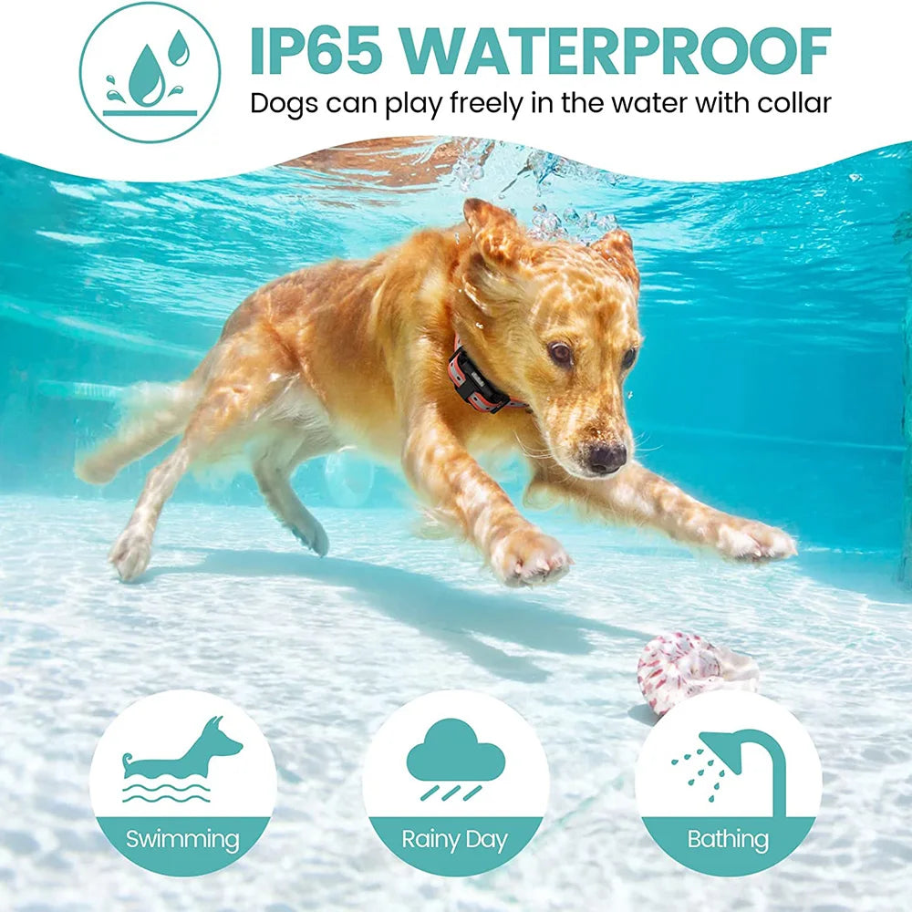 Rechargeable Waterproof Dog Training Collar with Remote – Shock, Vibration & Sound – For Small, Medium & Large Dogs (Up to 800m Range)