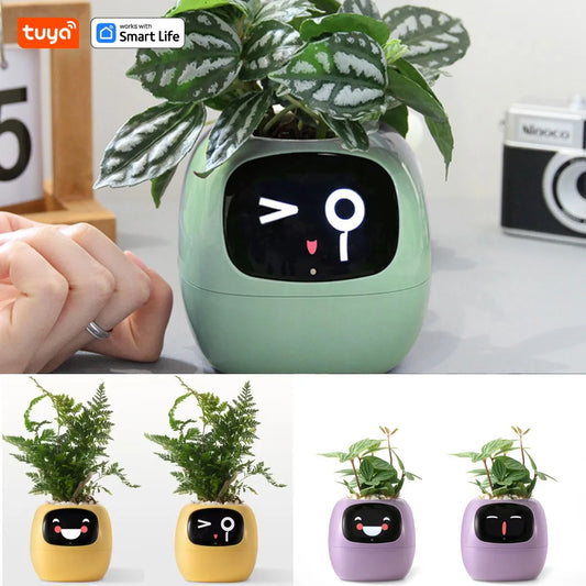 PLANTSIO Smart pet Planter Robot Guidance on Plant Care with Emojis